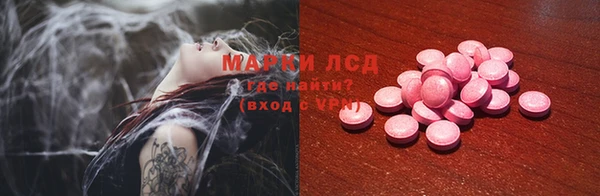 ГАЛЛЮЦИНОГЕННЫЕ ГРИБЫ Аркадак