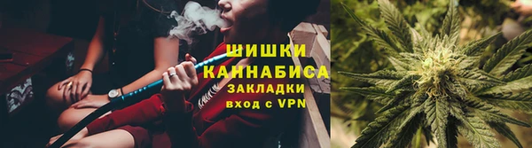 ГАЛЛЮЦИНОГЕННЫЕ ГРИБЫ Аркадак