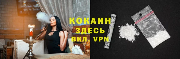 ГАЛЛЮЦИНОГЕННЫЕ ГРИБЫ Аркадак