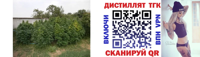 где найти наркотики  Мензелинск  ТГК жижа 