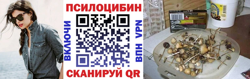 закладки  Мензелинск  Галлюциногенные грибы прущие грибы 